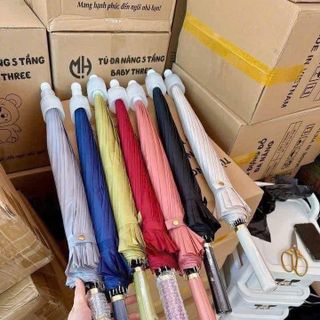 Ô Dù Cán Dài 24 Nan Xịn (THÙNG 60)