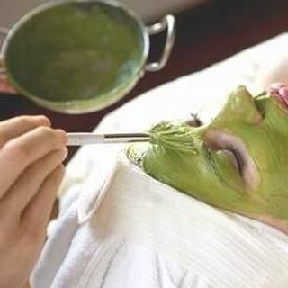 Bán Sỉ Bột Trà Xanh Số Lượng Lớn Giao Hàng Trên Toàn Quốc