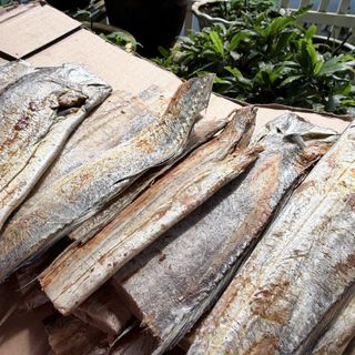 Cá hố muối sư một nắng 1KG - đặc sản Phú Yên, muối mặn, thịt dày, thơm, ngon, chế biến nhiều món ăn