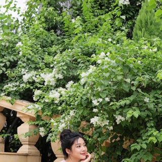 Đầm baby doll xinh xắn dành cho nữ