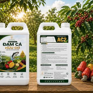 ĐẠM CÁ HỒI – DINH DƯỠNG VƯỢT TRỘI CHO CÂY TRỒNG, GIÁ SỈ CẠNH TRANH