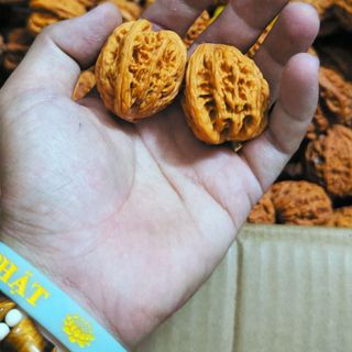 Combo 2 hạt quả hồ đào năn tay thư giãn