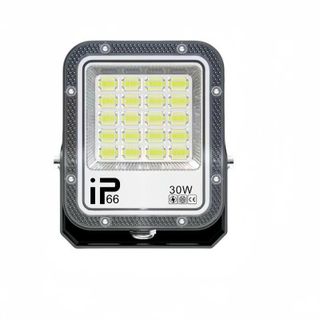 ĐÈN PHA ĐIỆN MẮT NGỌC 220V - 30W (T20)