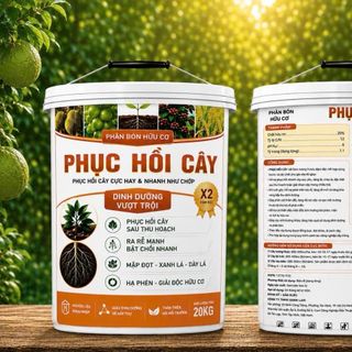Phân Bón Phục Hồi Cây Sầu Riêng Sau Thu Hoạch Giá Sỉ Tại Nhà Máy: Giải Pháp Tuyệt Vời Cho Vườn Cây Của Bạn