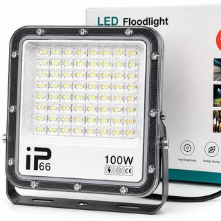 ĐÈN PHA ĐIỆN MẮT NGỌC 220V - 100W (T10)