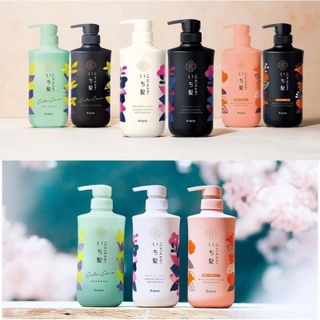 Bộ set 2 dầu gội và xả Ichikami Kracie chai 480ml x 2 (3 màu) hàng Nhật