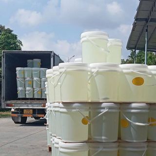 Mạch nha trắng - can 25kg