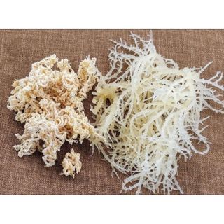 RONG SỤN KHÔ RONG BIỂN TRẮNG 500G – DAI GIÒN, DỄ CHẾ BIẾN NHIỀU MÓN