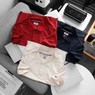 POLO NAM. Chất vải xuất dư, mịn đẹp dày dặn. Form slim.