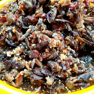 🦀 BA KHÍA SỮA TRỘN SẴN 700G – VỊ QUÊ DÂN DÃ, ĐẬM ĐÀ ĐƯA CƠM