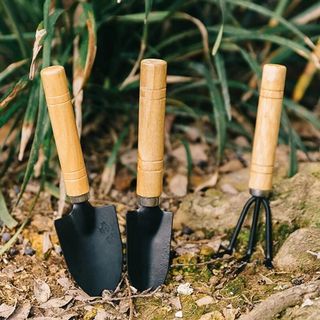 Set 3 Dụng Cụ Làm Vườn