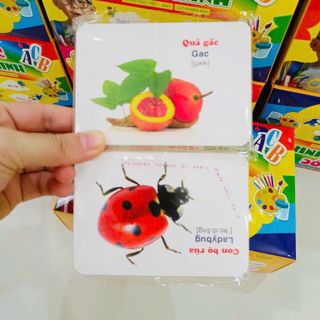 Sách Thẻ học Flashcard - Bộ Thẻ Học Thông Minh