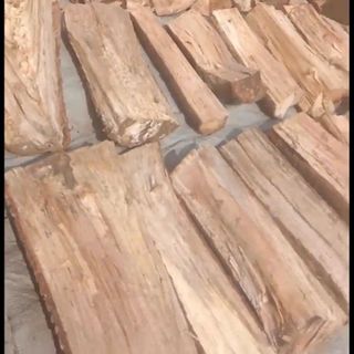 CUNG CẤP CỦI ĐIỀU KHÔ SỐ LƯỢNG LỚN – CỦI ĐIỀU CHO LÒ PIZZA, LÒ NƯỚNG THỊT, BBQ VÀ NƯỚNG NGOÀI TRỜI