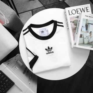 Áo thun nam.  Chất cotton 4C 100%  cao cấp, mịn đẹp.  Form slim. Unisex nam nữ đều mặc được.