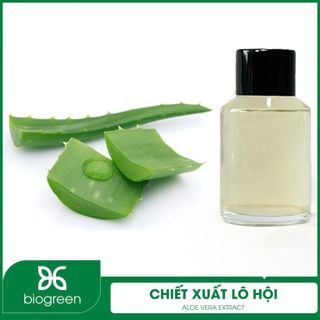 CHIẾT XUẤT LÔ HỘI BIOGREEN - NGUYÊN LIỆU MỸ PHẨM THIÊN NHIÊN KHÁNG VIÊM VÀ PHỤC HỒI DA