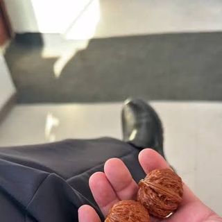 Sỉ hạt quả hồ đào sẵn sl lớn cho khách buôn ạ