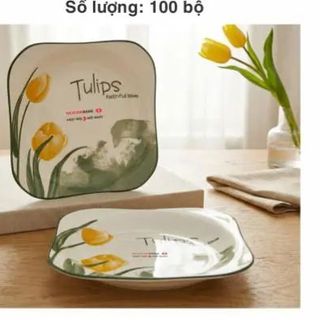 Đĩa 8 Vuông Tulips ( THÙNG 60C )