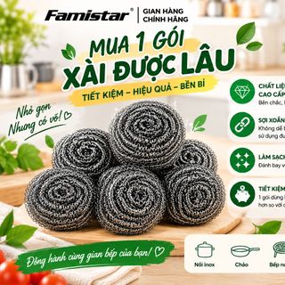 Cọ xoong nồi inox FAMISTAR sạch nhanh, bền bỉ, tiết kiệm, combo 6 cái, giá sỉ tận xưởng