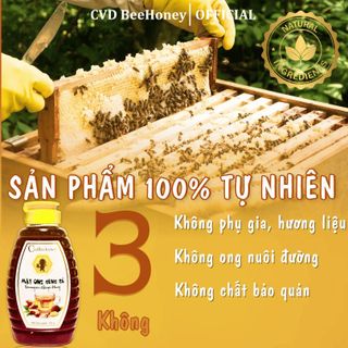 Mật ong nguyên chất Gừng Sả, mật ong tự nhiên, tăng sức đề kháng, kháng khuẩn, mật ong CvdBeehoney 500g