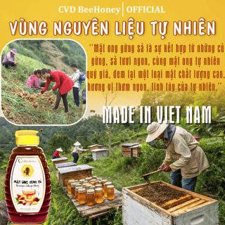Mật ong nguyên chất Gừng Sả, mật ong tự nhiên, tăng sức đề kháng, kháng khuẩn, mật ong CvdBeehoney 500g