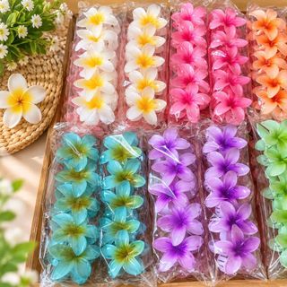 KẸP TÓC HOA SỨ 8cm (T1200)