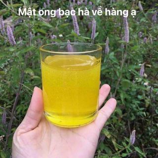 Mật ong hoa bạc hà nguyên chất chai 1LIt