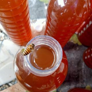 Mật ong hoa rừng tràm nguyên chất chai 1 lít
