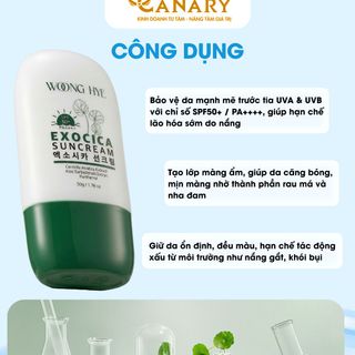 Kem chống nắng WOONG HYE EXOCICA SUNCREAM 50G