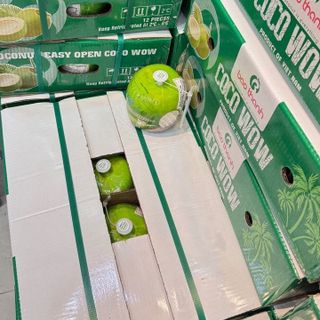 [TỔNG KHO SỈ] DỪA NẮP KHUYÊN YOUNG COCONUT - GIẢI PHÁP TỐI ƯU CHO QUÁN F&B & ĐẠI LÝ