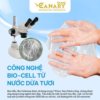 Mặt nạ dừa  Fresh Coconut Vietnam Mask