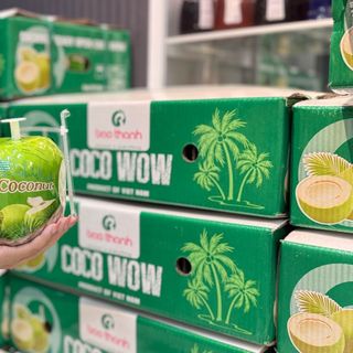 [TỔNG KHO SỈ] DỪA NẮP KHUYÊN YOUNG COCONUT - GIẢI PHÁP TỐI ƯU CHO QUÁN F&B & ĐẠI LÝ