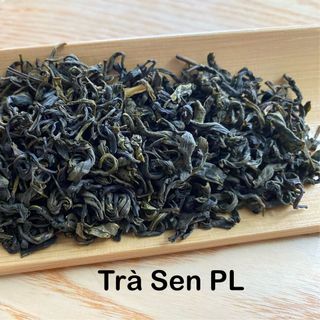 TRÀ HƯƠNG SEN - NGUYÊN LIỆU PHA CHẾ