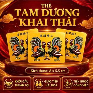 Thẻ Tam Dương Khai Thái Bỏ Ví
