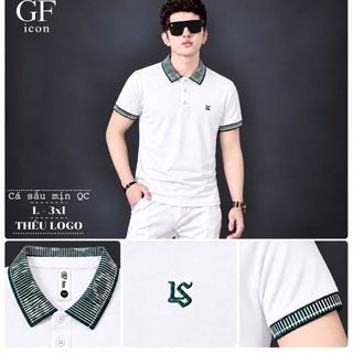 Áo Polo Nam Cá Sấu Mịn Cổ Dệt Vân Thêu Logo Nhỏ Màu Trắng - Áo Thun Nam Cổ Trụ Size L-3XL HH-TR17T