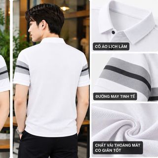 áo polo cá sấu phối 3 màu hot trend hiện nay
