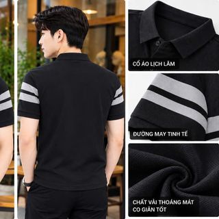 áo polo cá sấu phối 3 màu hot trend hiện nay