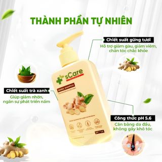 Dầu Gội Dược Liệu sCare Hỗ Trợ Giảm Gàu, Ngứa & Nấm Da Đầu | SÁPITAL