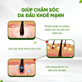 Dầu Gội Dược Liệu sCare Hỗ Trợ Giảm Gàu, Ngứa & Nấm Da Đầu | SÁPITAL