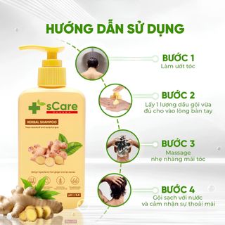 Dầu Gội Dược Liệu sCare Hỗ Trợ Giảm Gàu, Ngứa & Nấm Da Đầu | SÁPITAL
