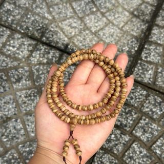 Tốc kiến bông rừng việt nam