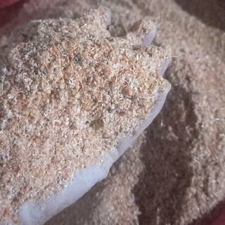 Bột Vỏ Đầu Tôm Số Lượng Lớn Làm Nguyên Liệu Thức Ăn Chăn Nuôi & Chiết Xuất Chitin