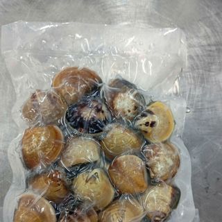 CHỈ GIAO HCM - NGHÊU NÂU NGUYÊN CON, HẤP CHÍN, ĐÔNG LẠNH 454 GRAM/TÚI - HỎA TỐC