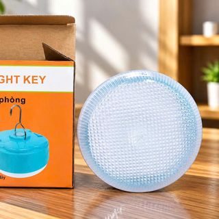 ĐÈN TÍCH ĐIỆN BÓNG DĨA 100w LIGHT KEY (PHI 136-T60)