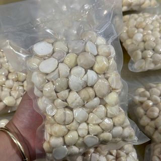 SỈ HẠT MACCA (MẮC CA) ĐẮK LẮK CHUẨN SẤY NỨT – GIÁ TỐT NHẤT THỊ TRƯỜNG, ĐẦY ĐỦ GIẤY TỜ VSATTP