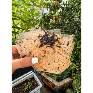 🌿 BÁNH TRÁNG TRỘN RONG BIỂN XÈKI 200GR – VỊ RONG BIỂN THƠM NGON, ĂN LÀ GHIỀN!