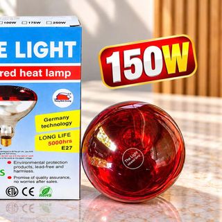 BÓNG ĐÈN HỒNG NGOẠI SƯỞI GÀ 150w ĐUI E27 CÓ HỘP (T50)