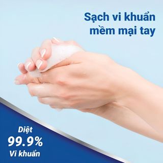 Nước Rửa Tay Safeguard Liquid Hand Soap 450ml Sạch Khuẩn 99.9% | SÁPITAL
