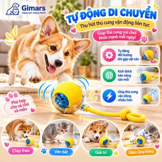 Bóng đồ chơi tự động cho chó mèo