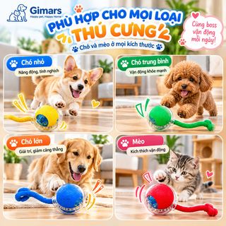 Bóng đồ chơi tự động cho chó mèo