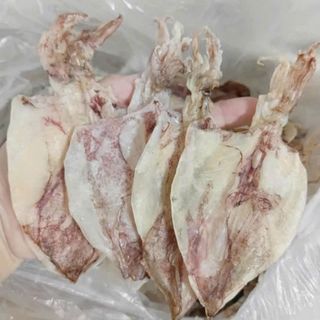 🦑 CHUYÊN CUNG CẤP SỈ KHÔ MỰC GHE NHÀ – TRẮNG, NGỌT, ĐỦ SIZE, GIÁ SỈ CẠNH TRANH 🦑